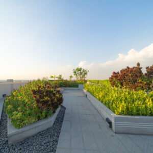 Green Roofing