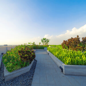 Green Roofing